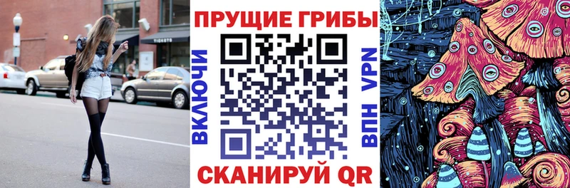 Псилоцибиновые грибы GOLDEN TEACHER  цены   Волхов 